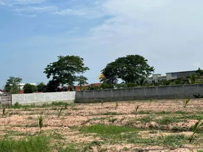 Land for Sale at Nong Yai Sale all plot