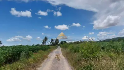 Land for sale at Huai Yai 4 Rai - Land - Huai Yai - 